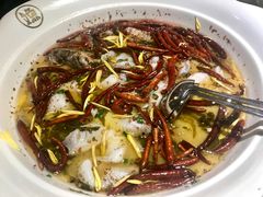 金牌老坛酸菜鱼-首秀·四川料理(星耀101店)