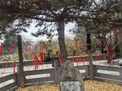 -泰山风景名胜区-普照寺