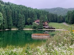 -武陵山森林公园