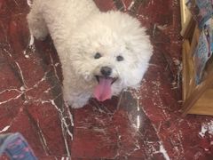 -多卡布奇宠物生活馆(上林世家店)