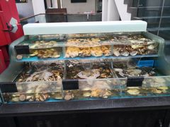 水产区-旺顺阁鱼头泡饼(小红门店)