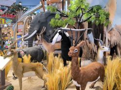 -卡通尼·Safari非洲探索乐园·生日会(金桥国际商业广场店)