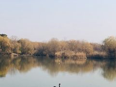 -长兴太湖图影湿地文化园