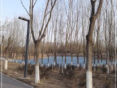 -东郊湿地公园