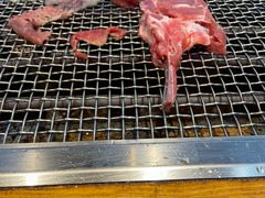 羊排-蚝英雄鲜蚝自助专门店(长楹天街直营店)