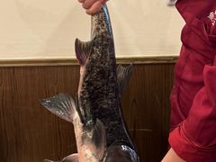 -旭龙鱼头王(航华店)