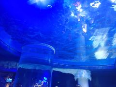 -上海海昌海洋公园-冰山北极馆