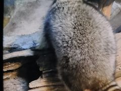 -华夏文旅西安度假区