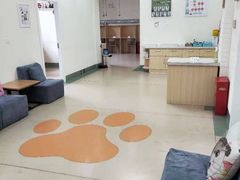 -美联众合动物医院·24h京西诊疗中心