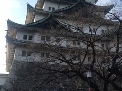 -名古屋城