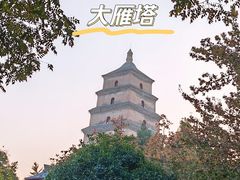 -大唐不夜城