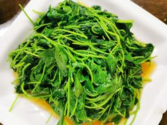 酒香金花菜-协和菜馆(凤凰街店)