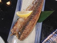 烤青花鱼-真剑日本料理·铁板烧(贵州路店)