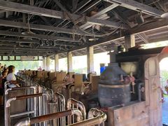 -奥兰多迪士尼动物王国乐园