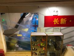 -阳光游泳培训基地(亦庄站)