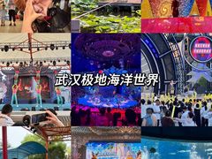 -海合安武汉极地海洋公园