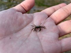 -青岛石老人海水浴场