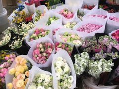 -秦美花卉(天朗·莱茵小城2期店)