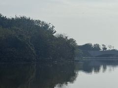 -飞来湖湿地公园
