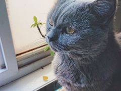 -Rabbit Cafe私房西餐甜点咖啡(栖霞路店)