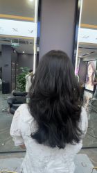 -藤野造型烫染·漂发