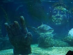 -暹罗海洋世界