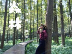 -上海怡沁园度假酒店