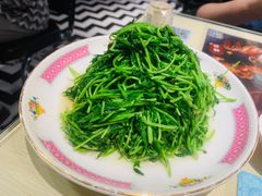 鸡油炒豆苗-细记港九宵夜大牌档(南京西路丰盛里店)