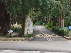 -广东茂名森林公园