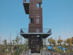 -春花秋色城市公园