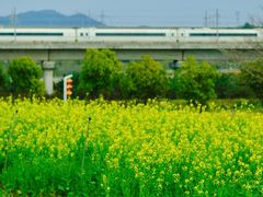 -光明小镇欢乐田园