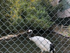 -石家庄市动物园