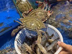 -渔夫蒸鲜(世奥湾店)