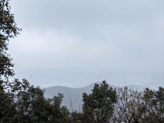 -雨花胜境