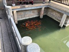 -绩溪龙川景区