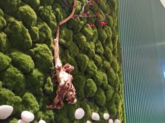 -透明思烤·自助烤肉海鲜火锅(东部星悦天地店)