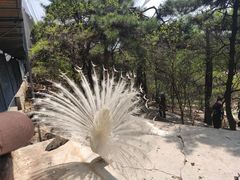 -燕塞湖鸟语林景区