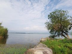-西昌邛海湿地