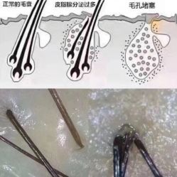 -木北造型