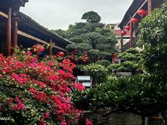 -猪肉婆私房菜(容桂总店)