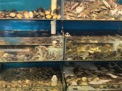 -仙螺岛海鲜自助餐厅(总店)
