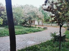 -洛阳市隋唐城遗址植物园