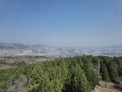 -原山国家森林公园