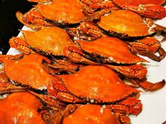 清蒸河蟹-璞御·海鲜·雪花牛肉局(宾水西道店)