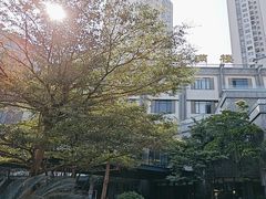 -金满楼(天河中路店)