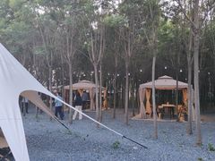 -秦岭风景区