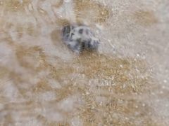 -青岛银沙滩