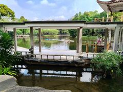 -晓港公园