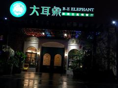 -大耳象东南亚风情餐厅(月湖公园店)