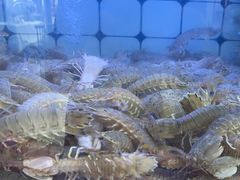 -日照大牌檔•小船海鲜(万平口店)